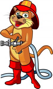 Lucky the Cat